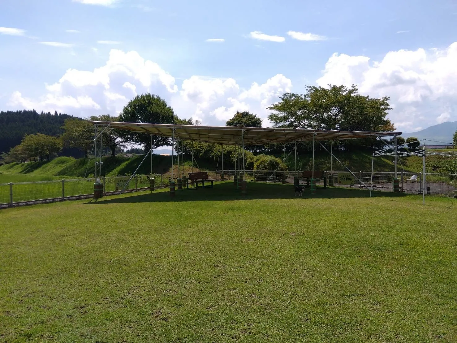 ドッグランに日避けが出来ました