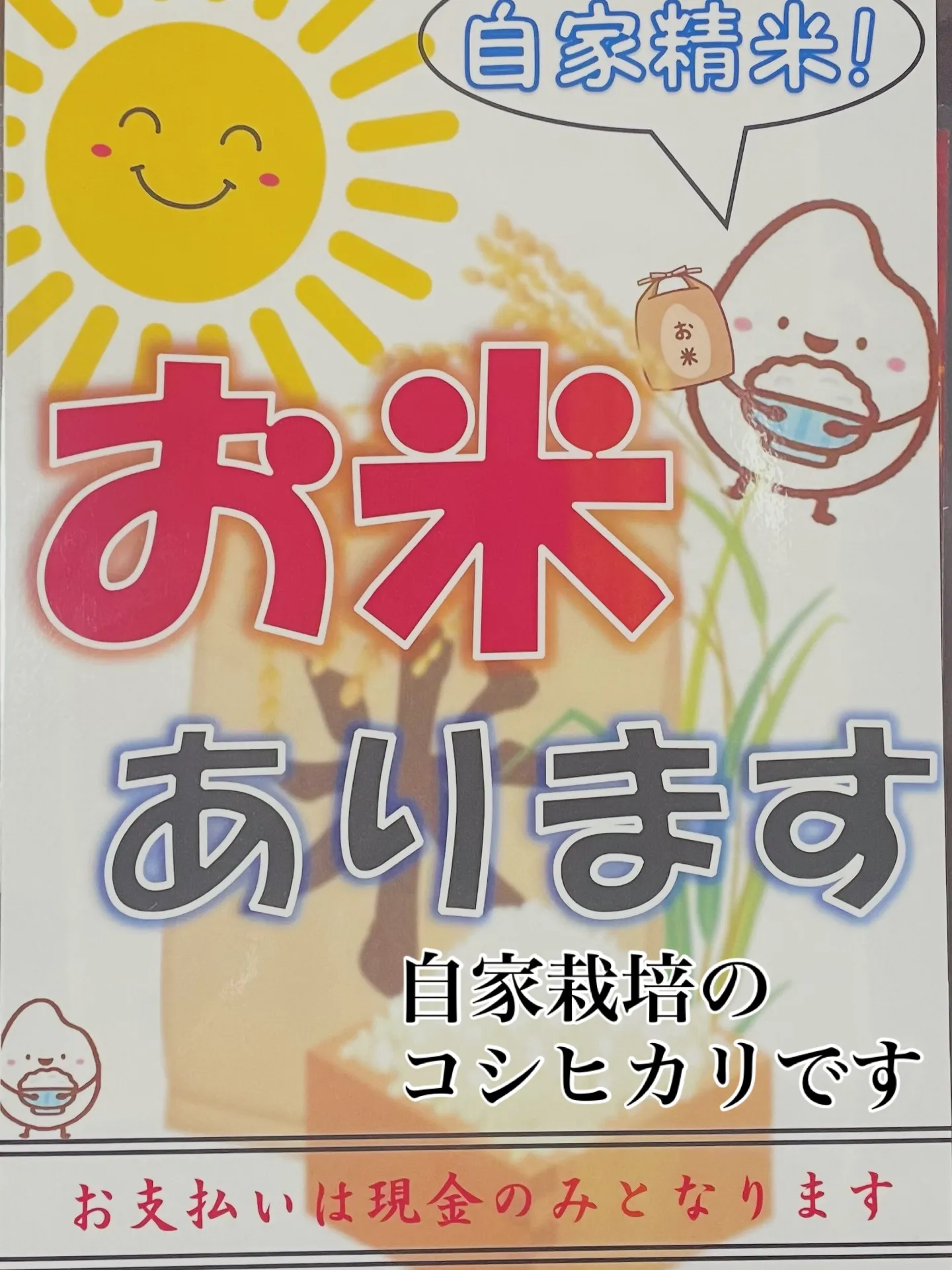 こんにちは☀️