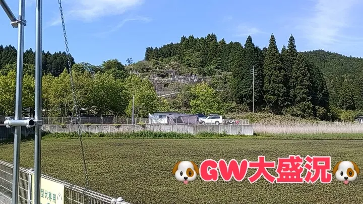#火の国ドッグランオートキャンプ場